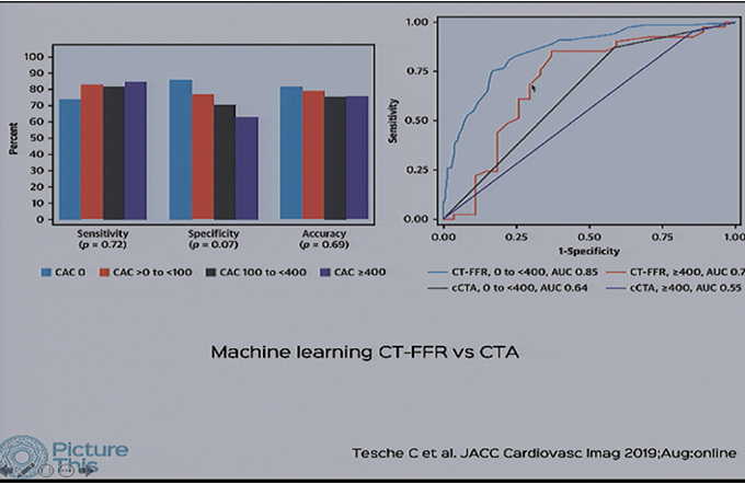 CT-Fractional Flow Reserve (FFR)
