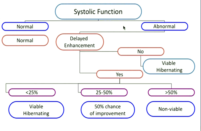 Cardiac MRI: Anatomy, Technique and Imaging for Myocardial Viability